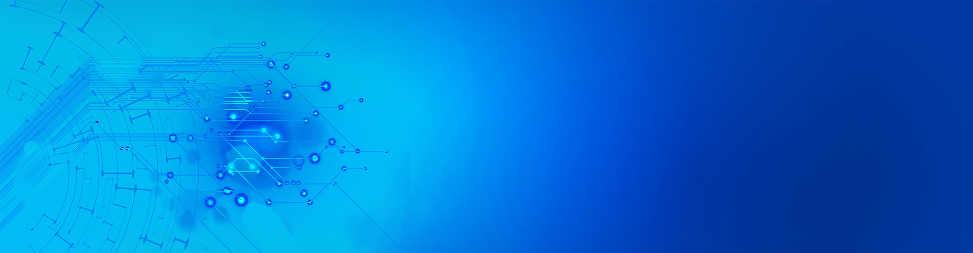 完美（中国）-组织架构